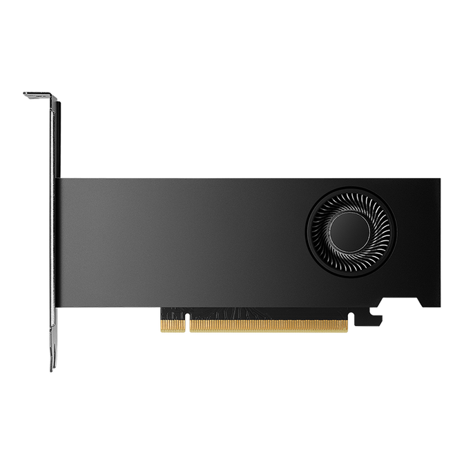 Gr&aacute;fica NVIDIA Quadro RTX 2000 ADA FH 16GB GDDR6 (Bulk) image number 3
