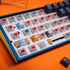 Ducky Switch Bundle image number null
