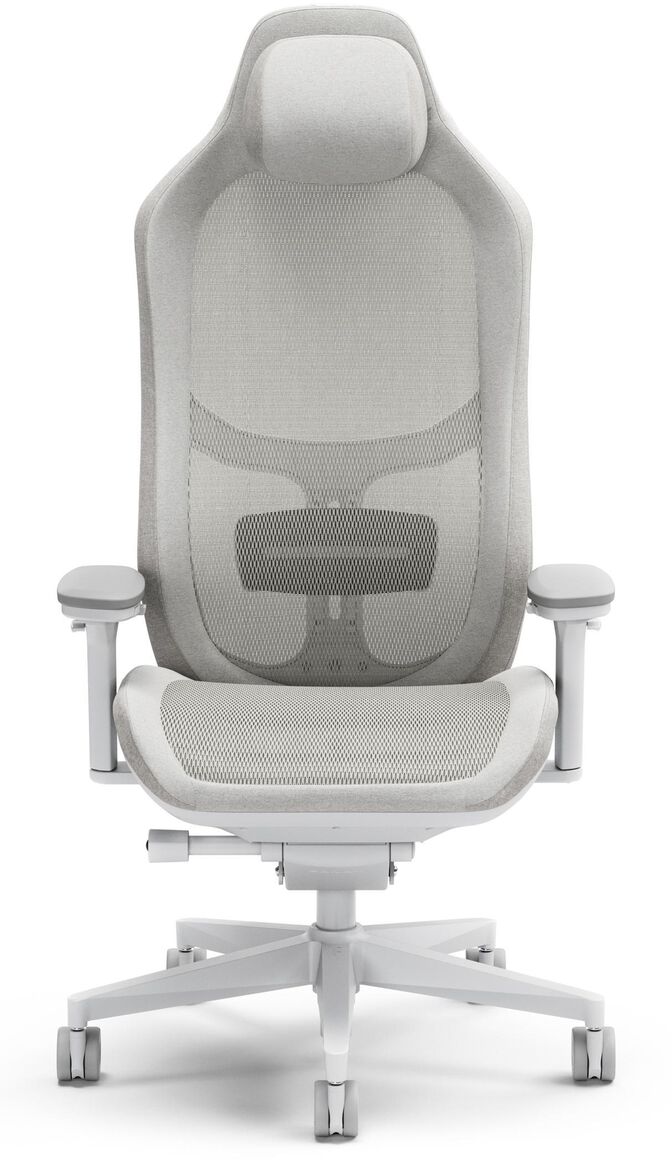 Silla Ergonomica Fractal Design Refine Mesh Light image number 0