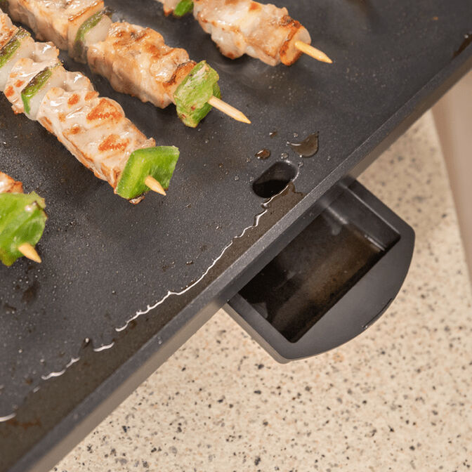 Plancha de Asar Cecotec Magnet 1800 image number 8