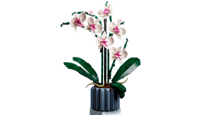 LEGO Botanicals: Orqu&iacute;dea, 608 Piezas (10311) image number 4