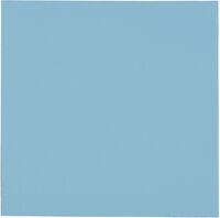 Thermal Pad Thermal Grizzly Minus Pad Pro 100 x 100 x 0.5 mm