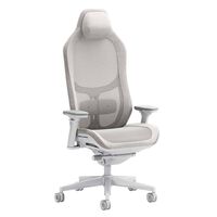 Silla Ergonomica Fractal Design Refine 2 Mesh Light