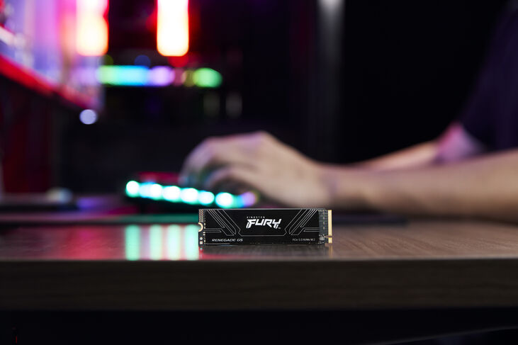 SSD Kingston Fury Renegade G5 4TB Gen5 M.2 NVMe 2280 (14800/14000MB/s) image number 6