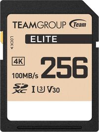 Team Group ELITE 256 GB SDXC UHS-I