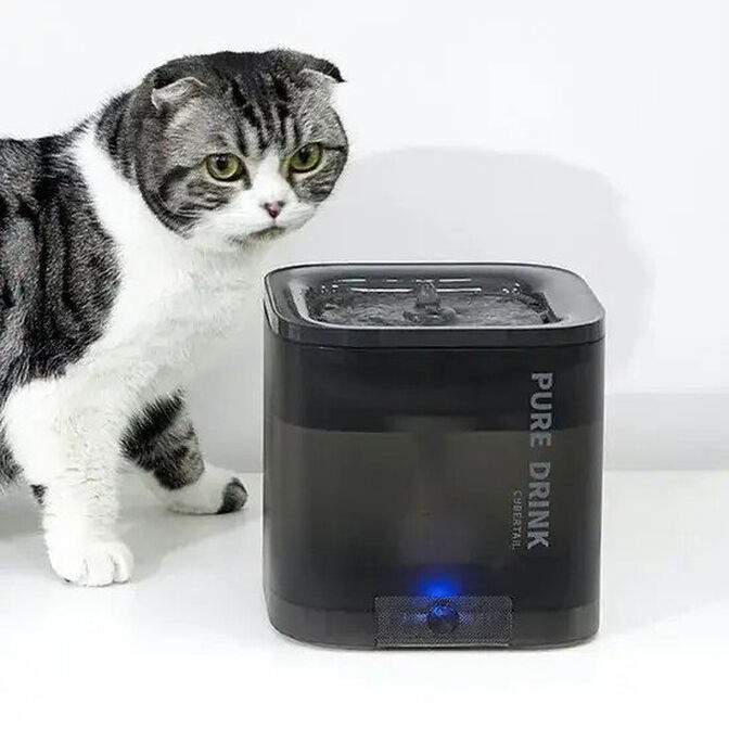 Bebedouro Autom&aacute;tico PETKIT Eversweet Solo SE Cinzento image number 3