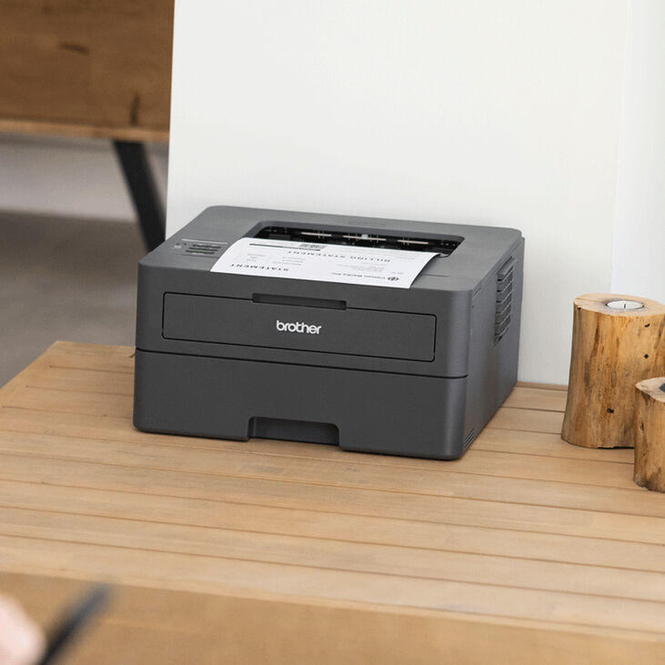 Impresora Láser Brother HL-L2400DWE image number 1
