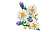 LEGO Botanicals: Margaritas, 133 Piezas (11508) image number null