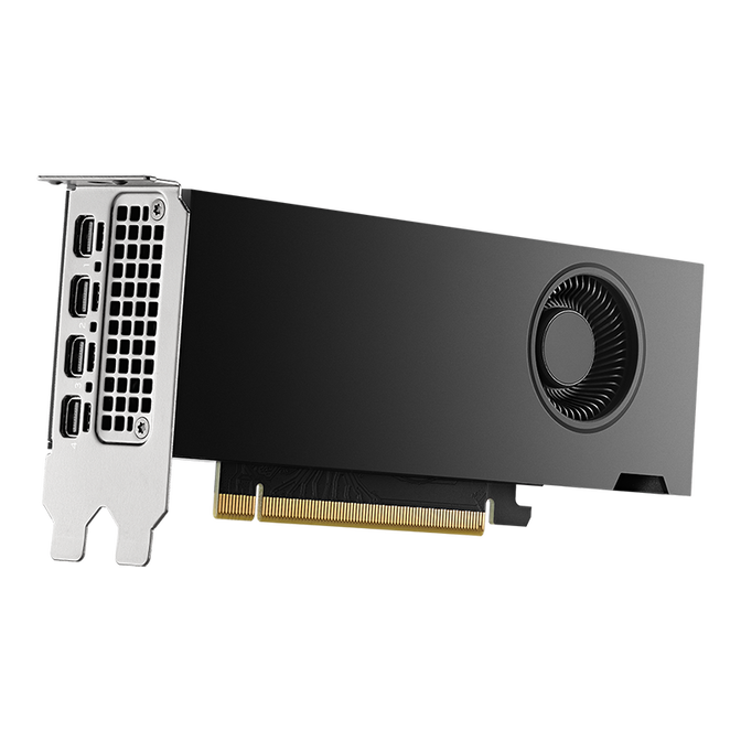 Gr&aacute;fica NVIDIA Quadro RTX 2000 ADA FH 16GB GDDR6 (Bulk) image number 1