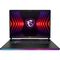 MSI Gaming Raider GE78 HX 14VHG-810P Intel® Core™ i9 i9-14900HX Portátil 43,2 cm (17") Quad HD+ 32 GB DDR5-SDRAM 1 TB SSD NVIDIA GeForce RTX 4080 Wi-Fi 7 (802.11be) Windows 11 Home Negro