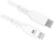 Cable USB 3.1 Gen 1 Ewent Tipo C para Lightning Macho/Macho 1 M Blanco