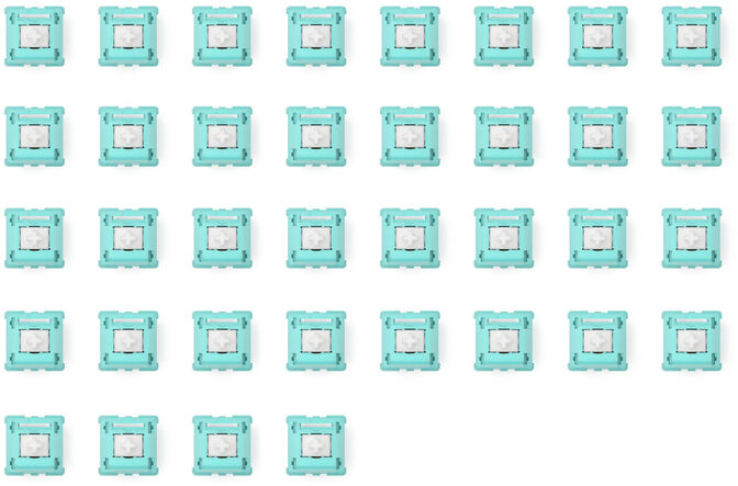 Pack 36 Lynx Switches Glorious image number 5