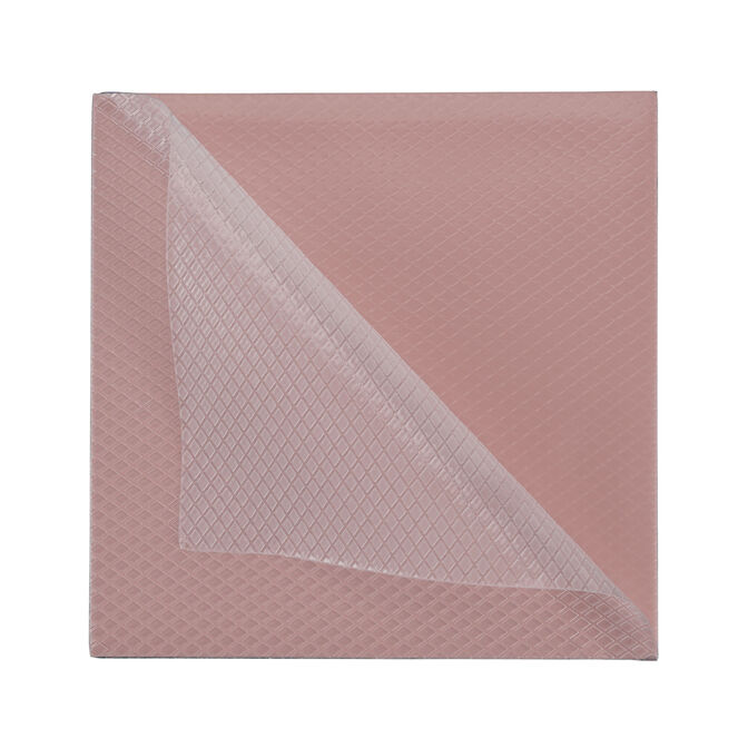 Thermal Pad Thermal Grizzly Minus Pad 8 100 x 100 x 1 mm (Pack 2) image number 3