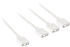 Cable Splitter Kolink 1-3 ARGB 30cm Blanco image number null