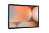Tablet Samsung Galaxy Tab S10+ 12.4" (12 / 512GB) 120Hz 5G WiFi Platinum Silver image number null