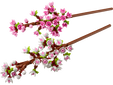 LEGO Botanicals: Cerezos, 430 Piezas (40725) image number null
