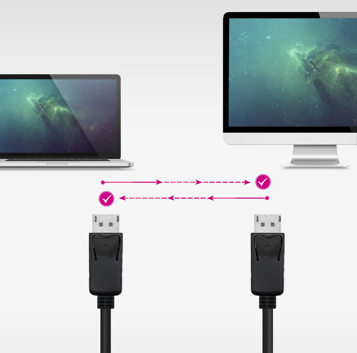 Cable DisplayPort 1.2 CCS Nanocable DP M/M 5 M Negro image number 3