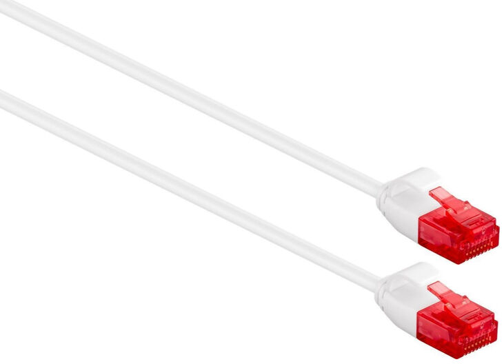 Cable de Red Slim Ewent RJ45 U/UTP Slim Cat.6 1.5 M Blanco image number 1
