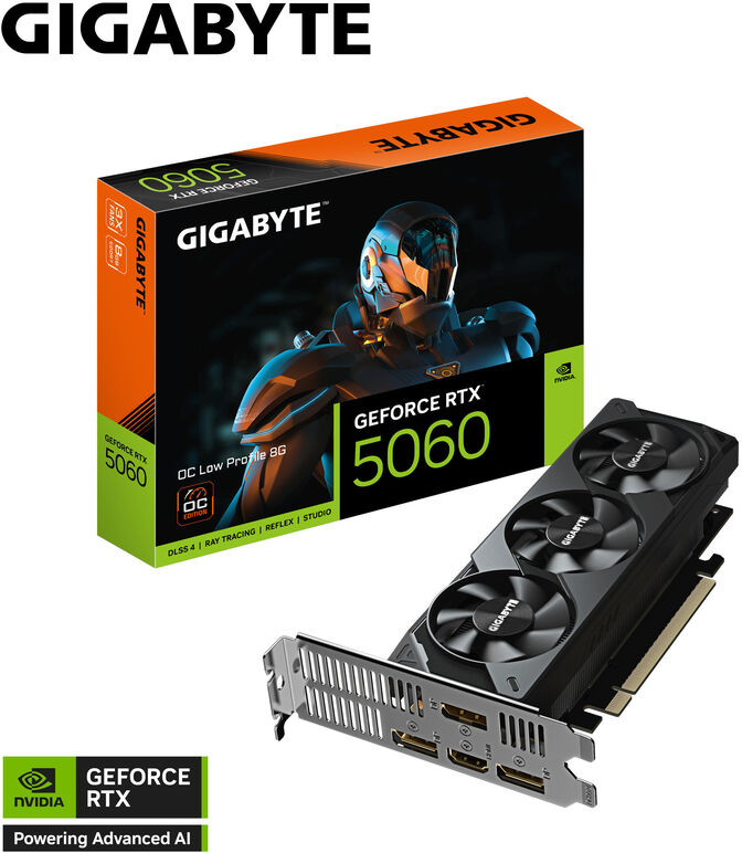 Tarjeta Gr&aacute;fica Gigabyte GeForce&reg; RTX 5060 OC LP 8GB GDDR7 DLSS4 image number 0