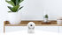 Cámara de Vigilancia Vigilância D-Link DCS-6501LH 2K Pan & Tilt Wi-Fi Camera image number null