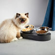 Comedero Doble Ajustable PETKIT Fresh Nano Acero Inoxidable image number null