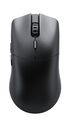 Ratón Gaming Glorious Model O 2 PRO Wireless 4K/8K Polling Negro image number null