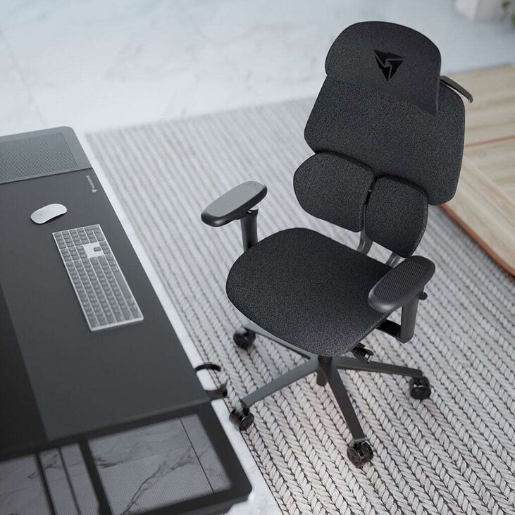 Silla Gaming Ergonomica ThunderX3 FLEX Pro, Apoio lombar 360 graus - Loft Dark Grey image number 9