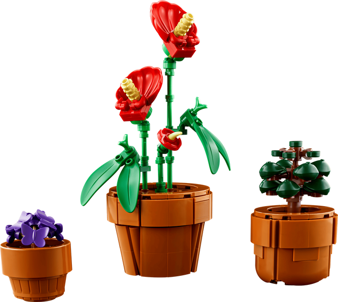 LEGO Botanicals: Plantas Diminutas, 758 Piezas (10329) image number 2