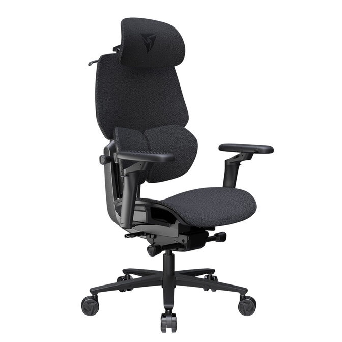 Silla Gaming Ergonomica ThunderX3 FLEX Pro, Apoio lombar 360 graus - Loft Dark Grey image number 1