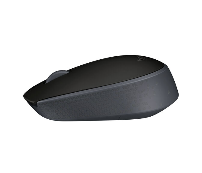 Rat&oacute;n Logitech M171 Wireless Negro image number 0