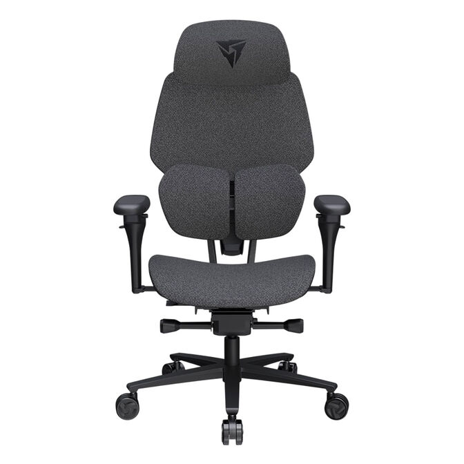 Silla Gaming Ergonomica ThunderX3 FLEX Pro, Apoio lombar 360 graus - Loft Dark Grey image number 0