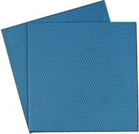 Thermal Pad Thermal Grizzly Minus Pad Basic 100 x 100 x 0.5 mm(Pack 2)