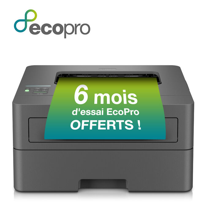 Impresora L&aacute;ser Brother HL-L2400DWE image number 5