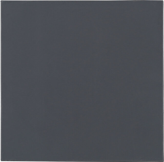 Thermal Pad Thermal Grizzly Minus Pad Pro 100 x 100 x 2.0 mm image number 1