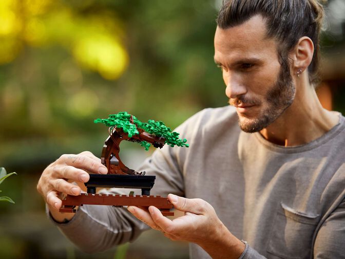 LEGO Botanicals: Bons&aacute;i, 878 Piezas (10281) image number 8
